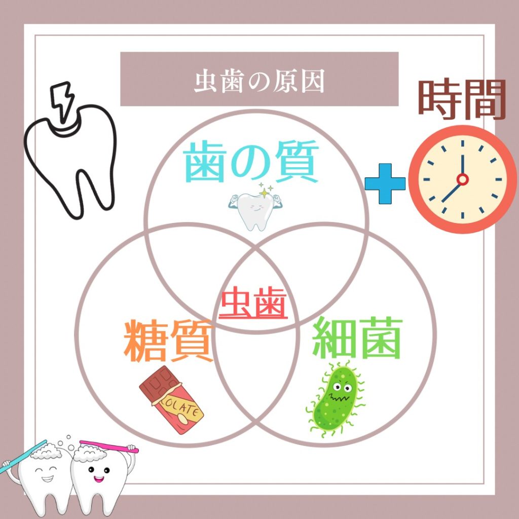 虫歯の原因と症状